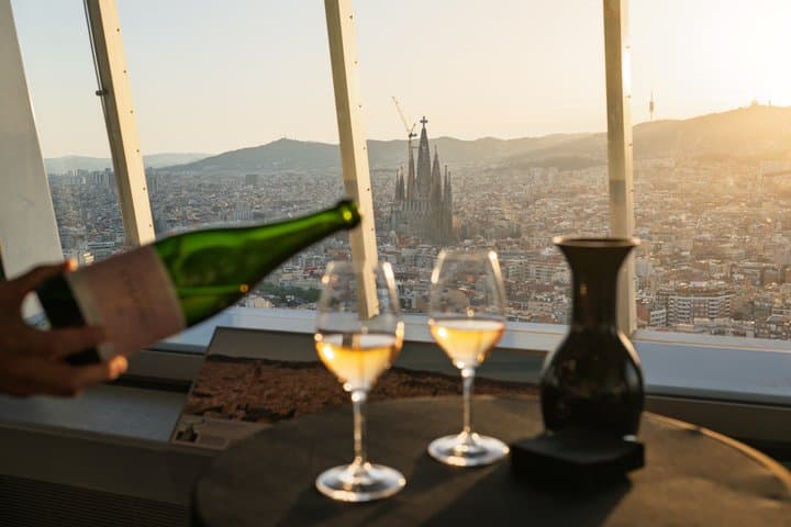 Admission to Torre Glories Barcelona Viewpoint with Wine Tasting