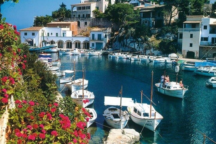 Catamaran tour and visit to Cala Figuera