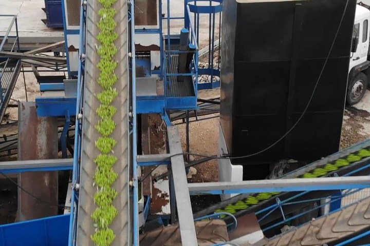 Olive Oil Excursion to an olive mill in the Lecrín Valley