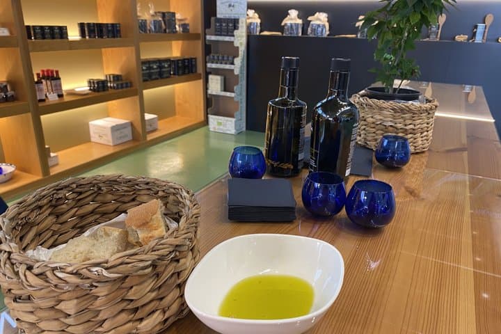 Olive Oil Excursion to an olive mill in the Lecrín Valley