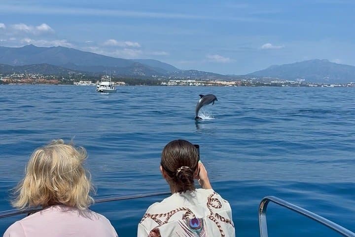 2H Private Dolphin Trip With Drinks Included in Estepona
