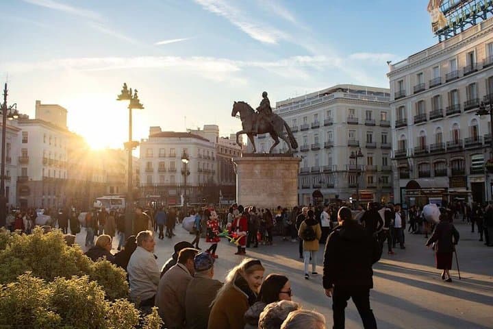 Madrid Private Tour, Local Guide and Check-out from your Inn