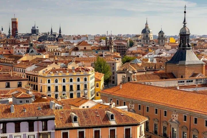 Madrid Private Tour, Local Guide and Check-out from your Inn