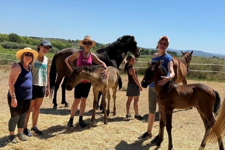 Equine Alchemy, Winery Visit and Wine Tasting in Penedès