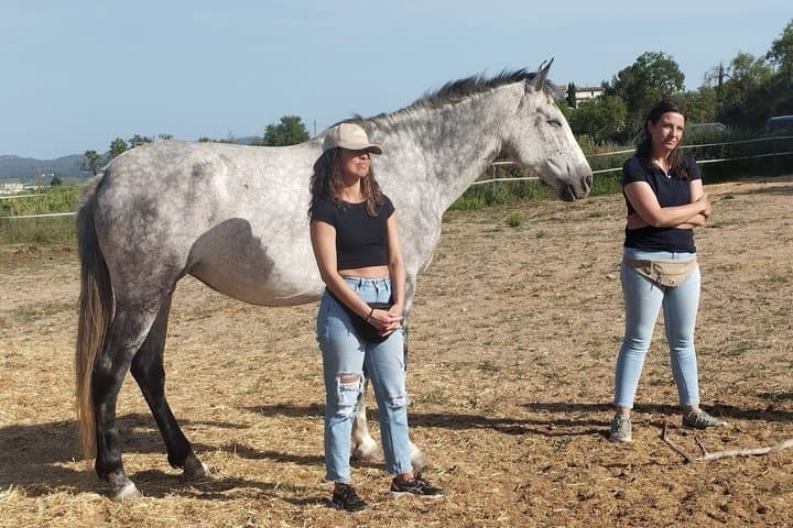 Equine Alchemy, Winery Visit and Wine Tasting in Penedès