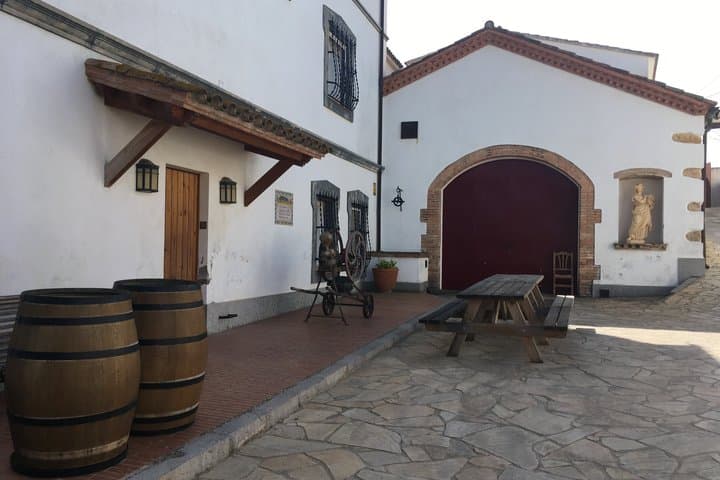 Equine Alchemy, Winery Visit and Wine Tasting in Penedès