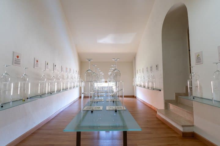 Explore an urban winery and enjoy a Jumilla wine tasting