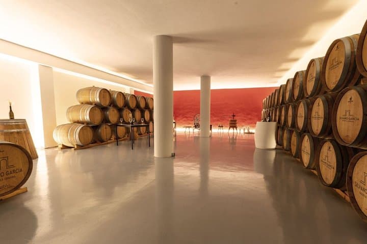Explore an urban winery and enjoy a Jumilla wine tasting