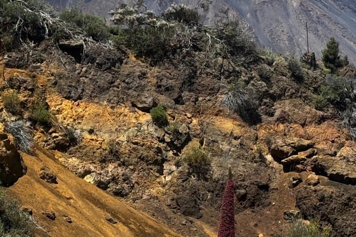 Off-Road Electric Skateboard Tour of Tenerife