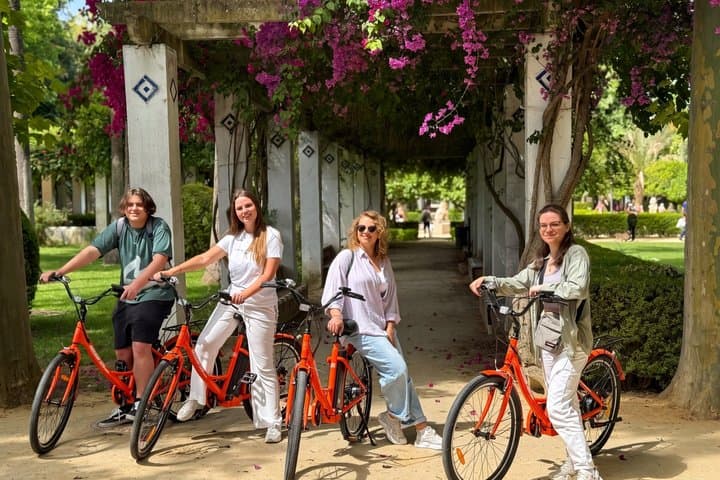 Seville Highlights Bike and E Bike Tour with Local Guide