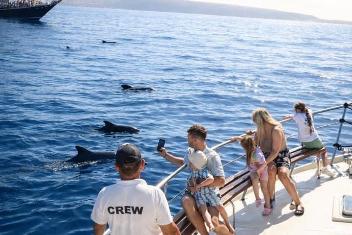 Discover Whales in Tenerife: Shared Yacht Tour, Swim & Lunch