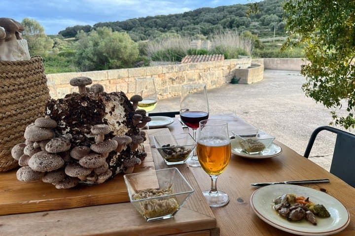 From cultivation to dish : Guided tour and mushroom tasting