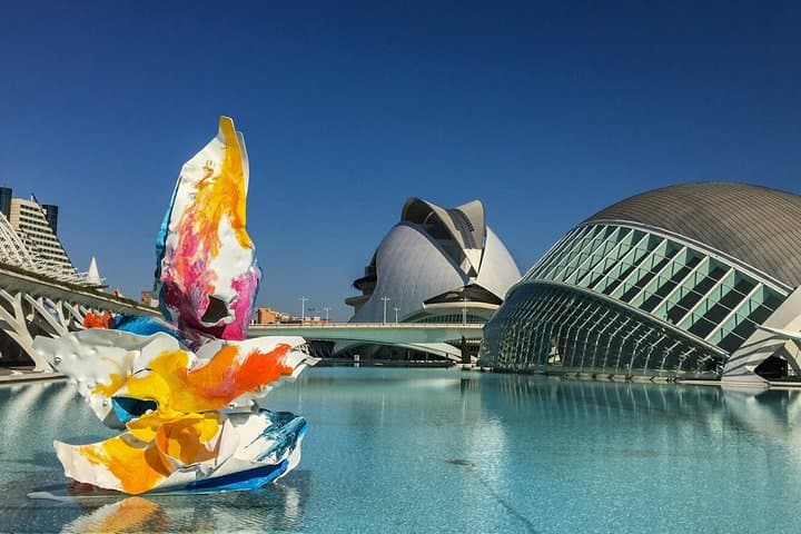 Valencia Science Museum Ticket and Audio Guide