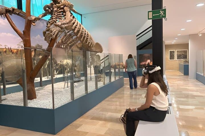 Valencia Science Museum Ticket and Audio Guide
