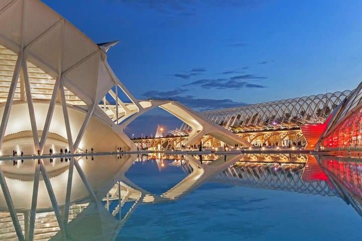 Valencia Science Museum Ticket and Audio Guide