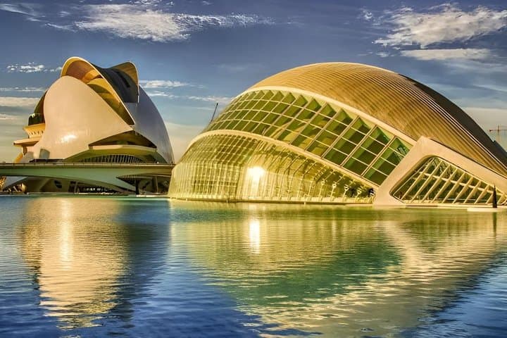 Valencia Science Museum Ticket and Audio Guide