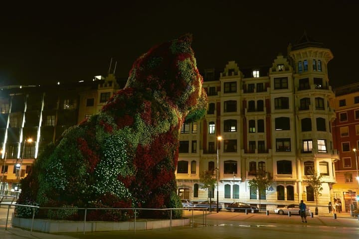 Bilbao by Night Private Sightseeing Tour