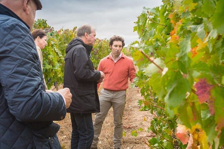 Premium Wine Tour and Wine Tasting in Aranda de Duero