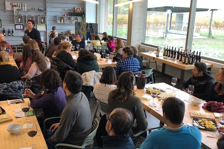 Private tour and wine tasting in Aranda de Duero