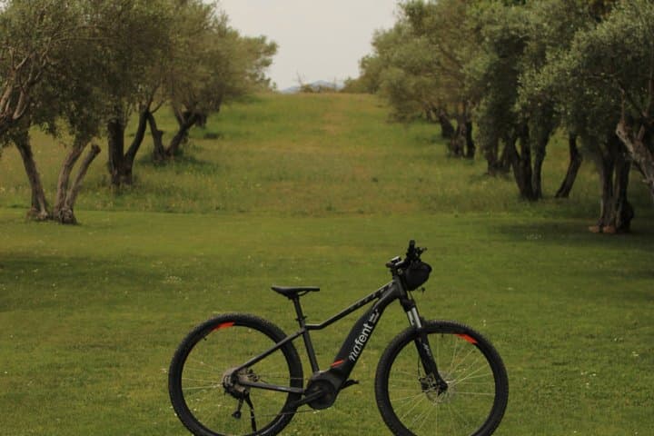 EBike Tour with Wine Tasting in Costa Brava Vineyards