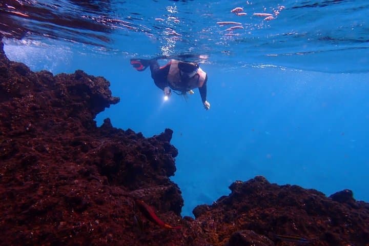 Private Tour Discover El Hierro Forests, Viewpoints or Snorkeling