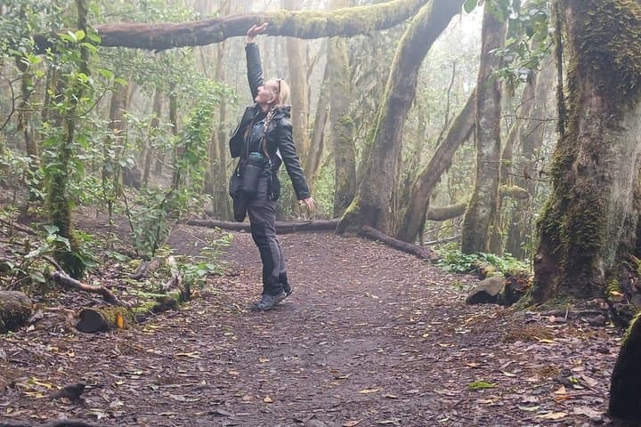 Private Tour Discover El Hierro Forests, Viewpoints or Snorkeling