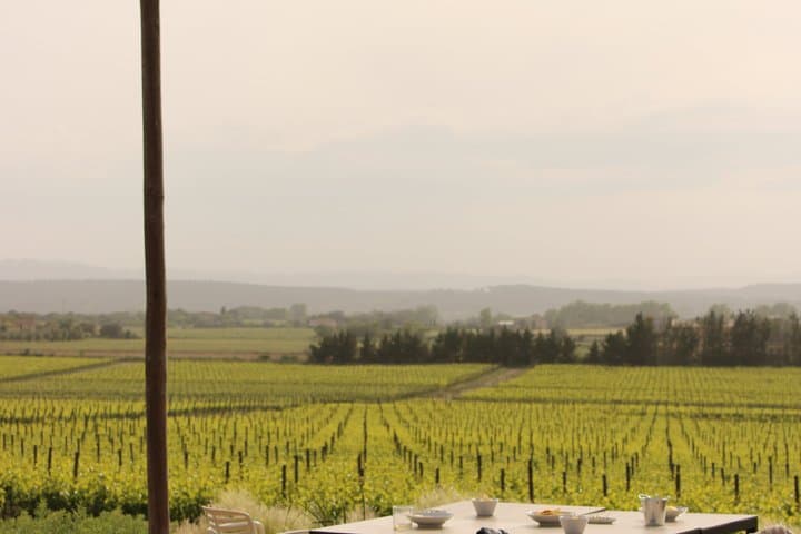 EBike Tour with Wine Tasting in Costa Brava Vineyards