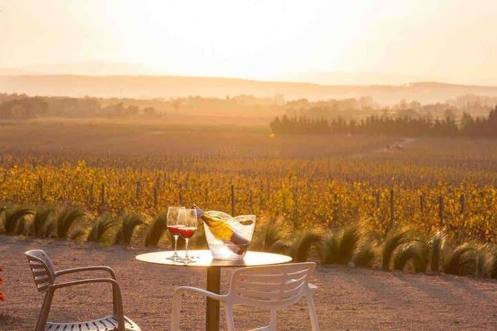 EBike Tour with Wine Tasting in Costa Brava Vineyards