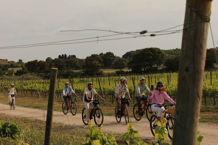 EBike Tour with Wine Tasting in Costa Brava Vineyards