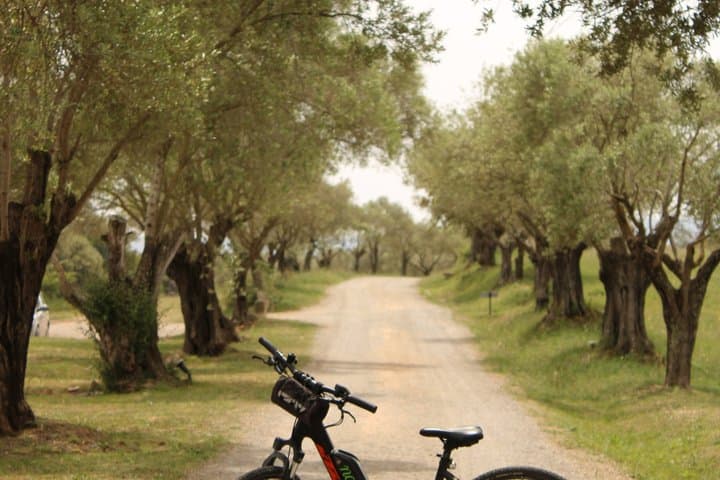 E Bike Tour and Olive Oil Tasting with Breakfast