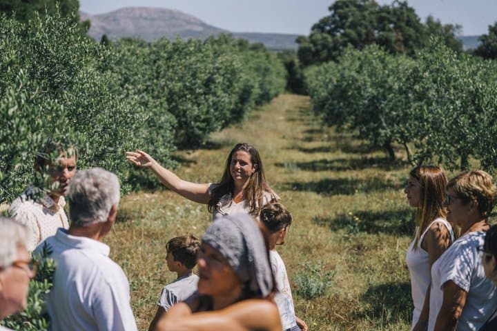 E Bike Tour and Olive Oil Tasting with Breakfast