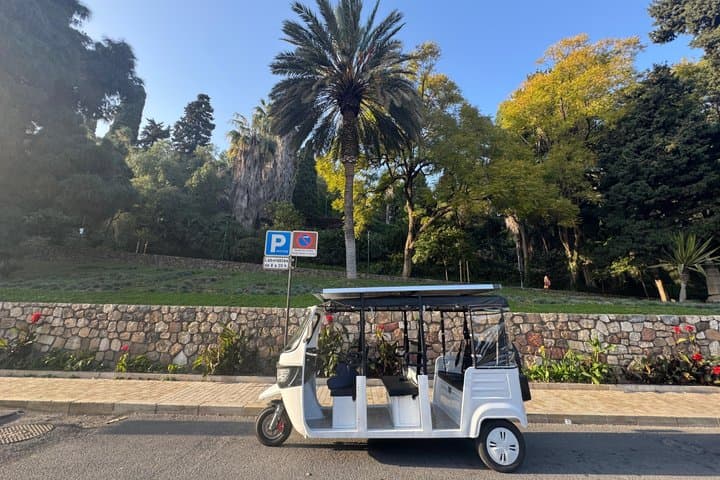 Private Tour of Malaga by Electric Tuk Tuk