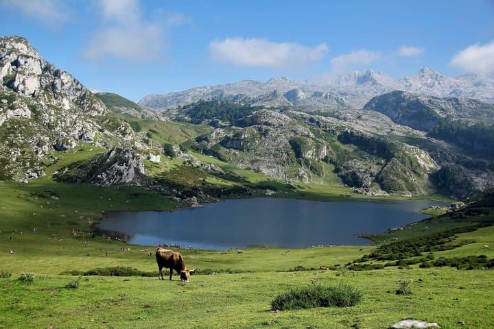 Excursion to the Lakes of Covadonga Cangas de Onís Small Group
