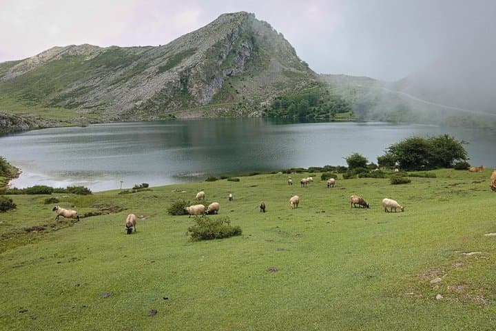Excursion to the Lakes of Covadonga Cangas de Onís Small Group