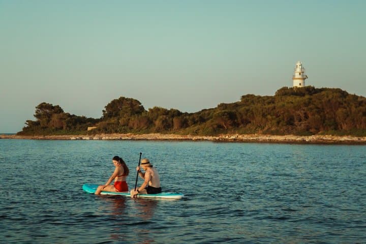 Private 2h30 Cruise: Alcanada Lighthouse, Coll Baix and Sea Cave