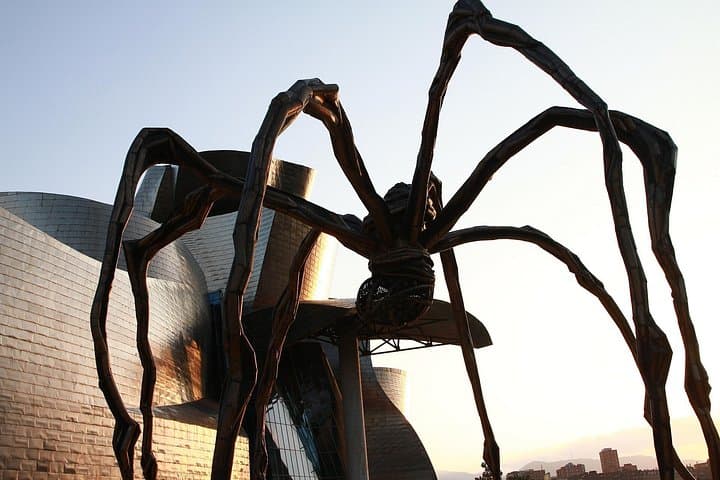 Guggenheim Museum Bilbao General Admission Ticket