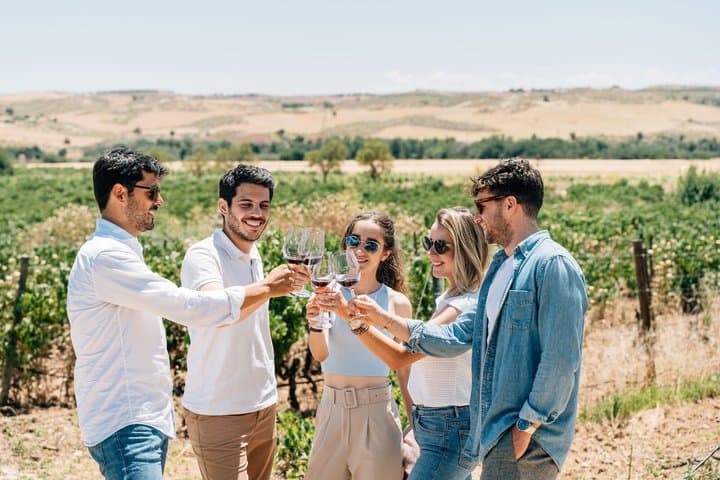 Toledo Walking Tour and Wine Tasting Experience