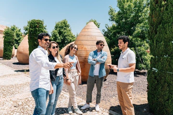 Toledo Walking Tour and Wine Tasting Experience