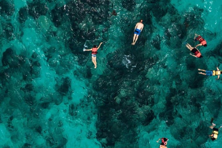 Visit to Palma marine reserve cliff caves and snorkeling