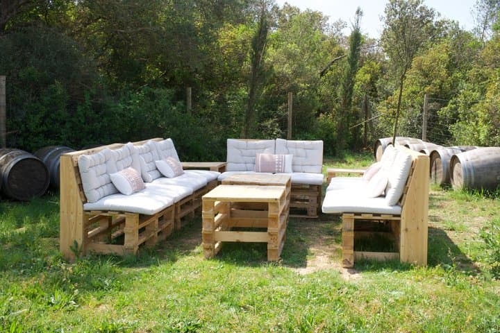 Gourmet picnic and wine tasting among the vineyards in l'Empordà