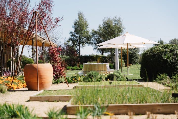 Horse Riding and Wine Tasting Experience