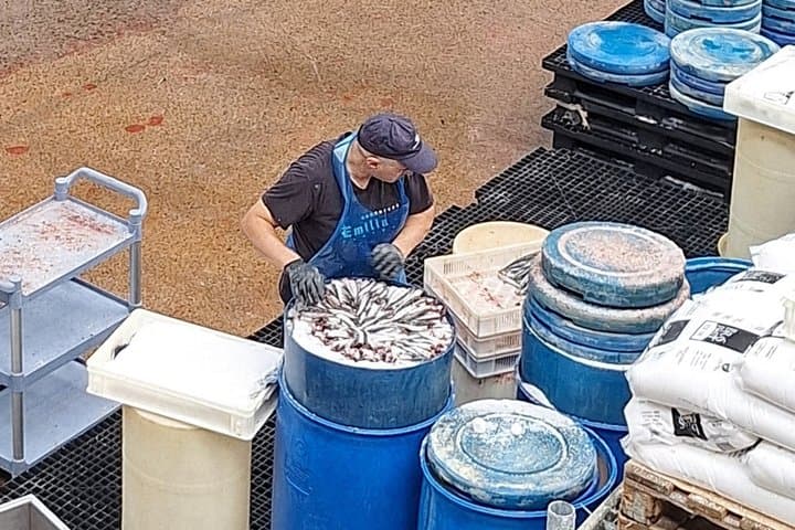 Tour to the Anchovies Factory and Santoña Marshes with Tasting