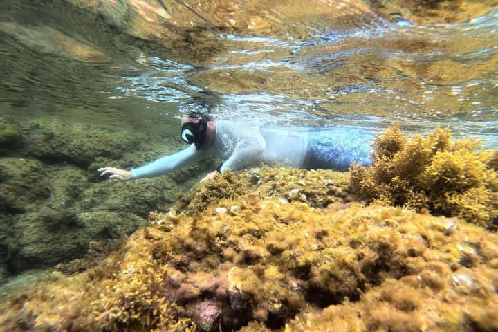 Round Trip Kayaking and Snorkeling in Tossa de Mar