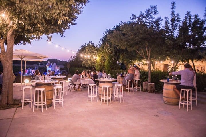 Authentic Family Winery Tour and Tasting in Mallorca