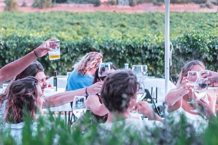 Authentic Family Winery Tour and Tasting in Mallorca