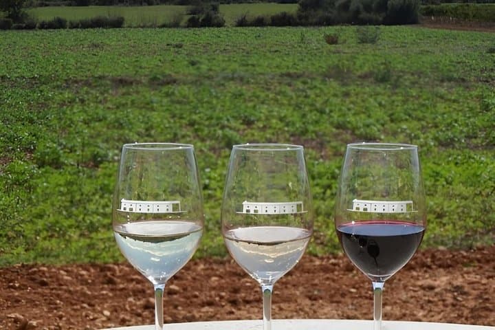 Authentic Family Winery Tour and Tasting in Mallorca