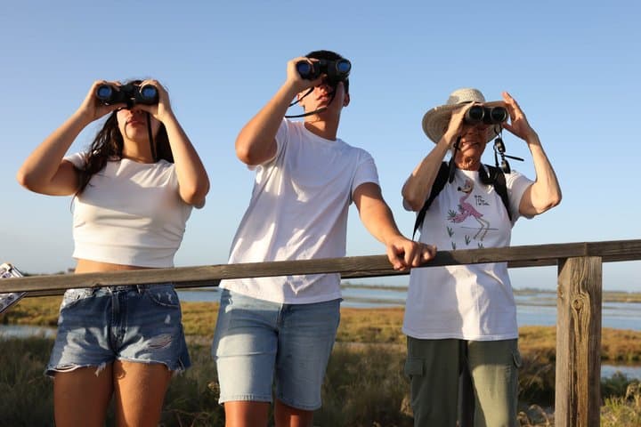 Rice and Flamenco Tour in the Ebro Delta
