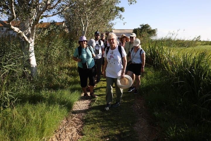 Rice and Flamenco Tour in the Ebro Delta