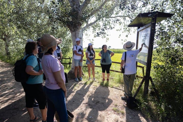 Rice and Flamenco Tour in the Ebro Delta