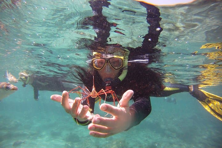 Get Wet Snorkeling Tour to Isla de Lobos from Corralejo